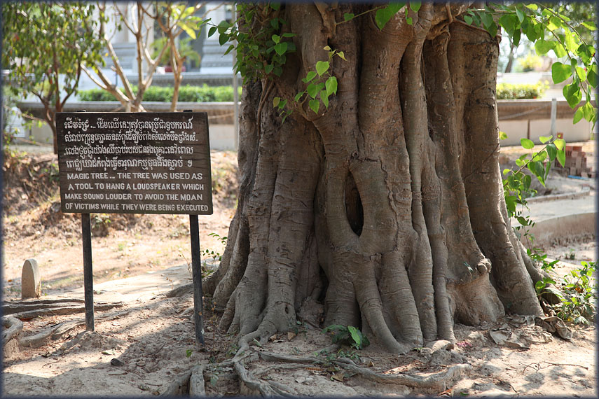 Cambodia Killing Fields