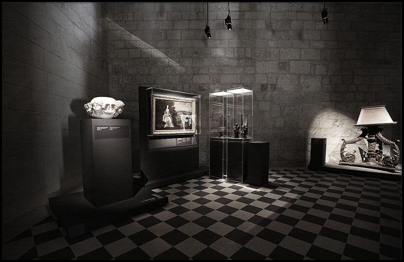 l'Abbaye de Fontevraud