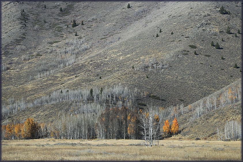 USA 2014 - a roadtrip