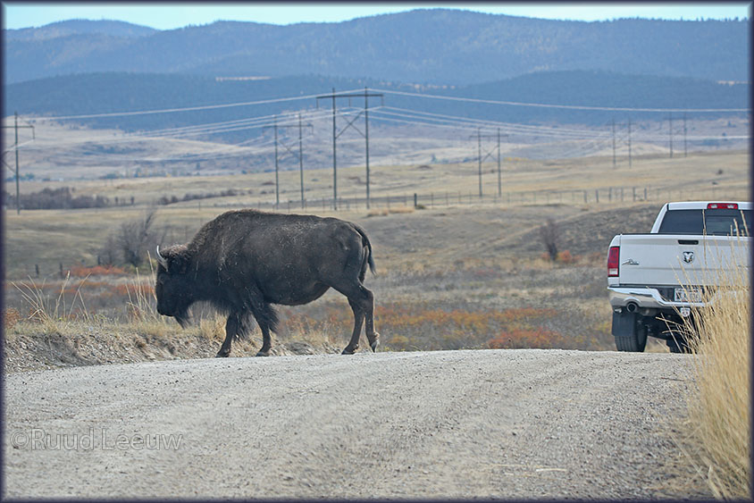 USA 2014 -  a roadtrip