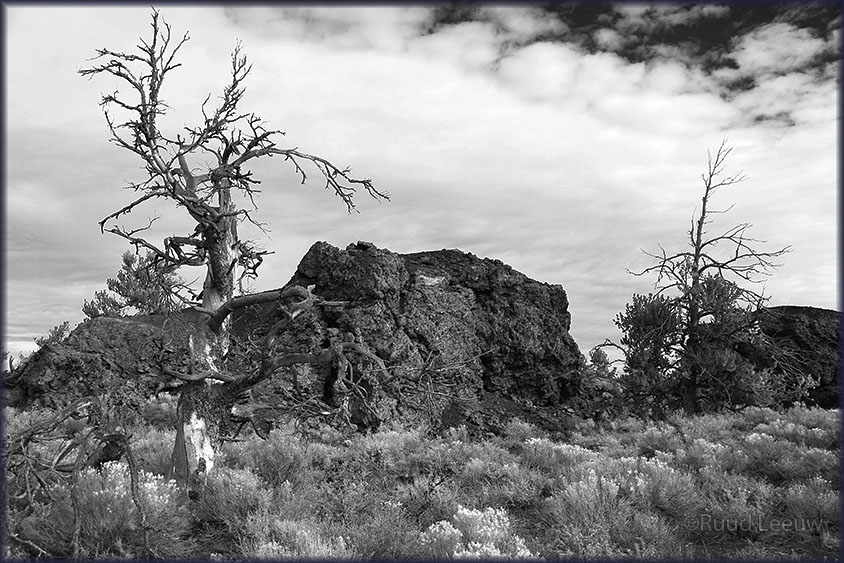 USA 2014 - a roadtrip