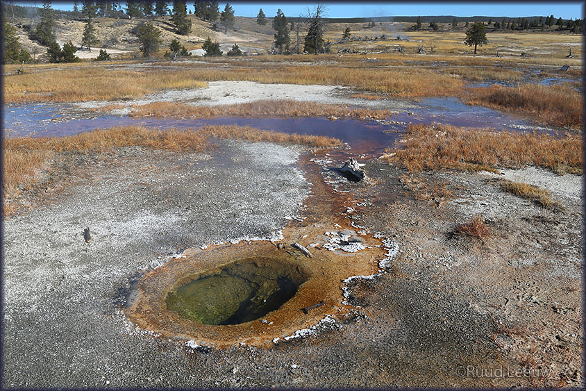 Yellowstone NP 