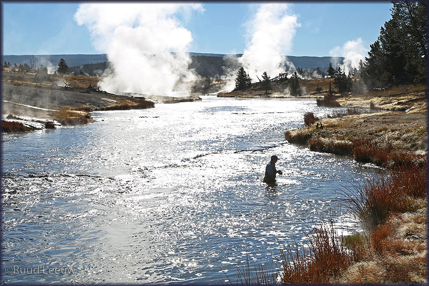 Yellowstone NP