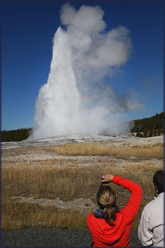 Yellowstone NP 