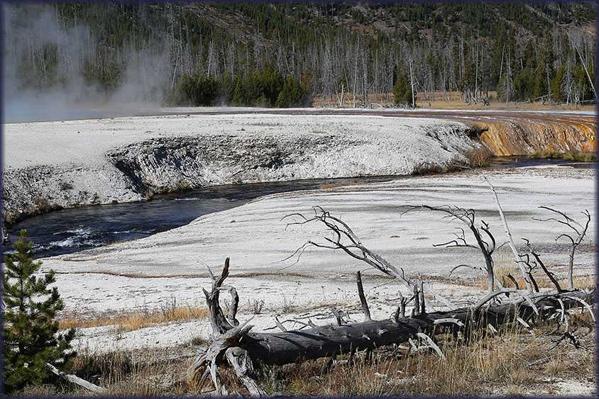 Yellowstone NP 