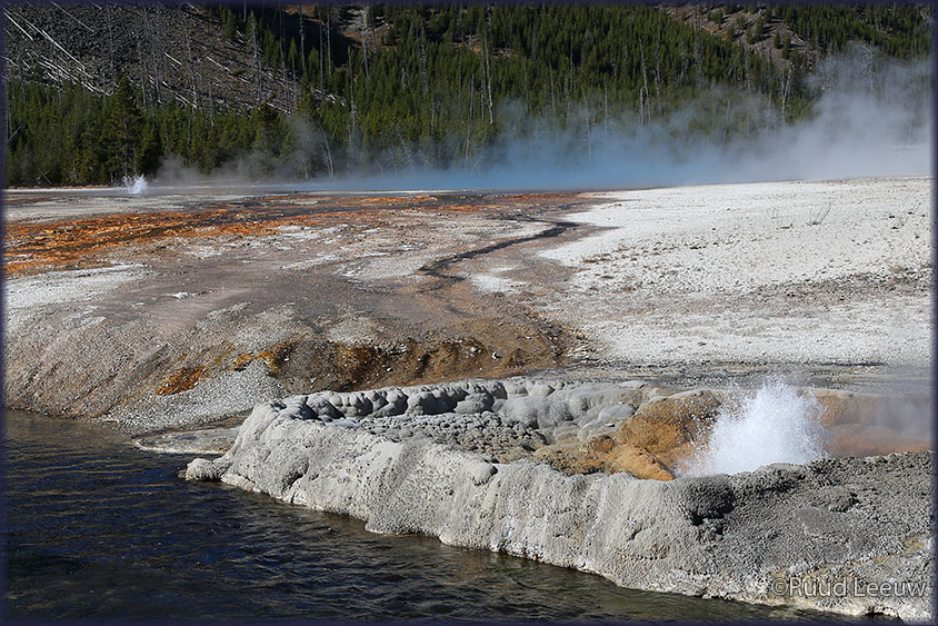 Yellowstone NP 