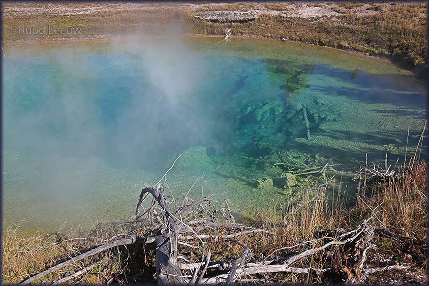 Yellowstone NP 