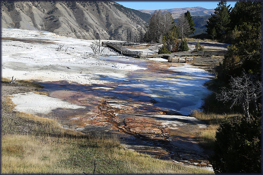 Yellowstone National Park - 2014