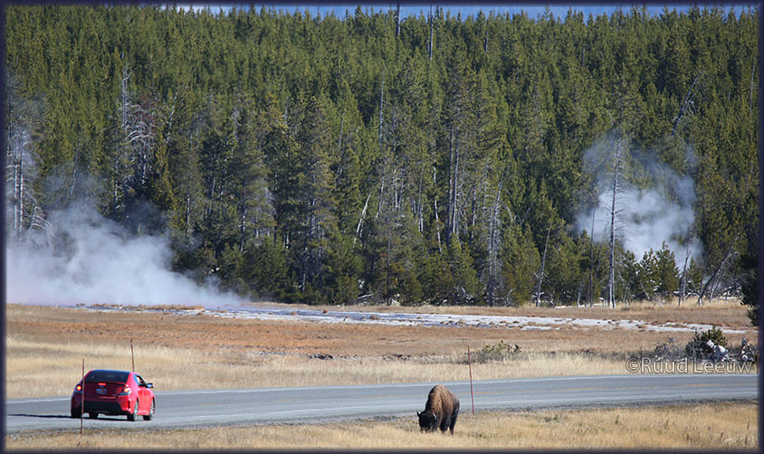 USA 2014 -  a roadtrip