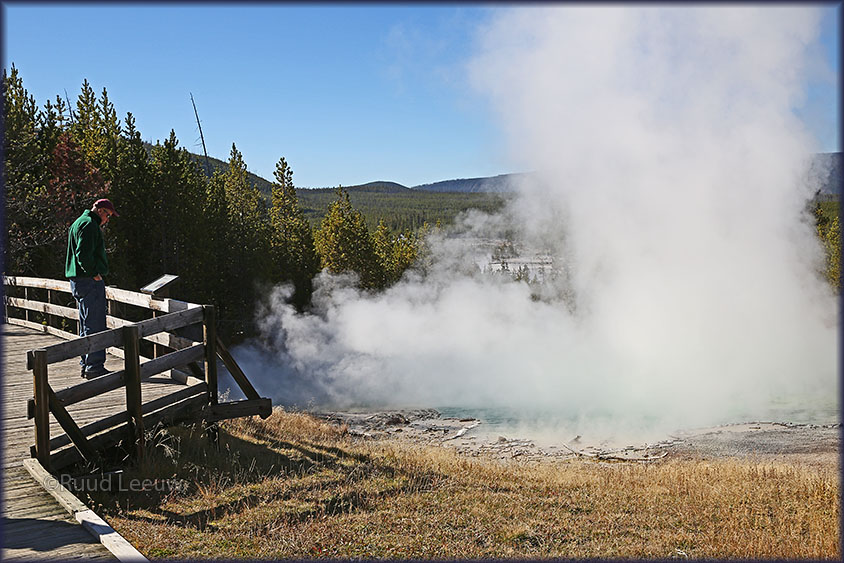 Yellowstone National Park - 2014