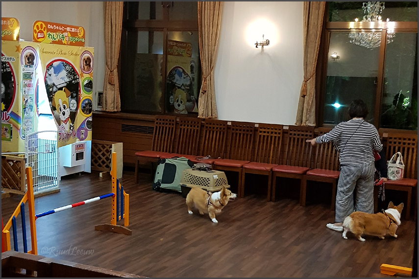 Takayama Dog Paradise Hotel