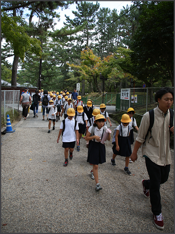Nara, Japan (2018)