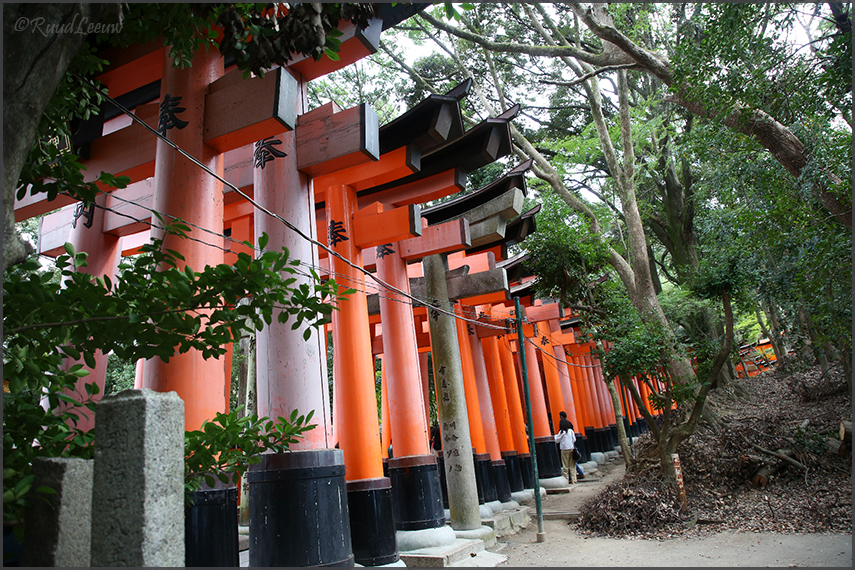 Inari Shinto Shrine, 2018