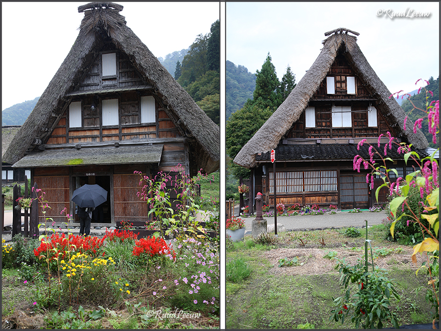 Gokayama (Sugamuma), 2018
