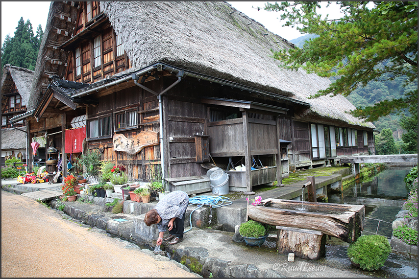 Gokayama (Sugamuma), 2018