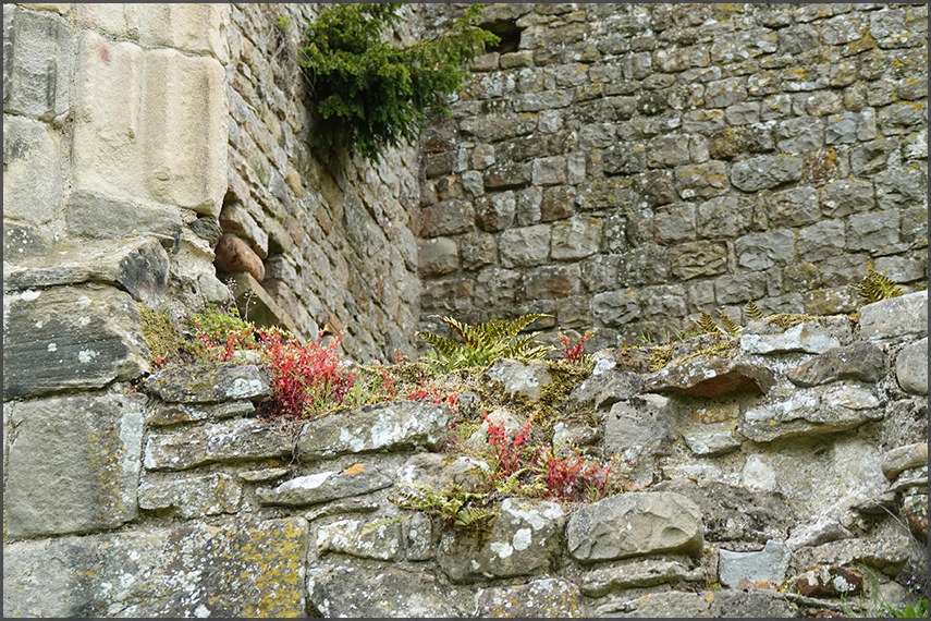 Travels in England, 2019 - photography by Ruud Leeuw