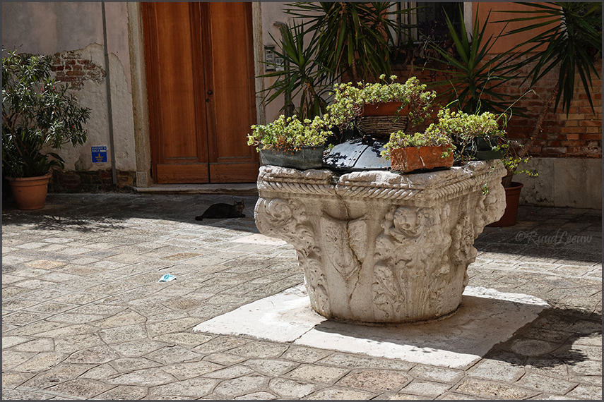 Venice, Italy (aug.2020)