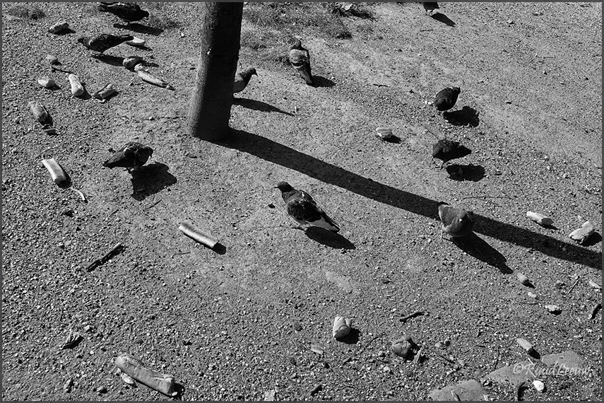 Clignancourt, Paris 2021