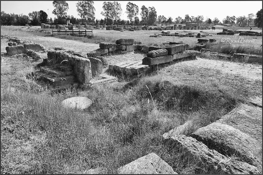 Metaponto, Greek ruïns
