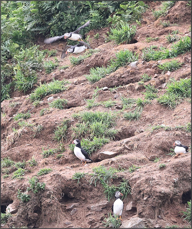 England & Wales, 2023 - Ruud Leeuw