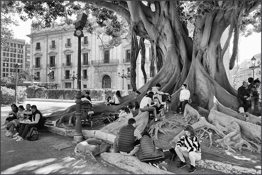 The streets of Valencia for streetphotography (3-3023)