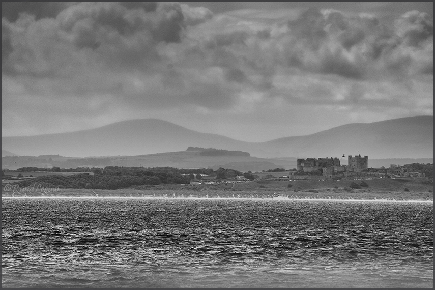 Farne Islands - Phoography by Ruud Leeuw (2024)