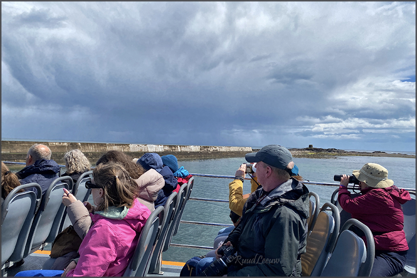 Farne Islands - Phoography by Ruud Leeuw (2024)
