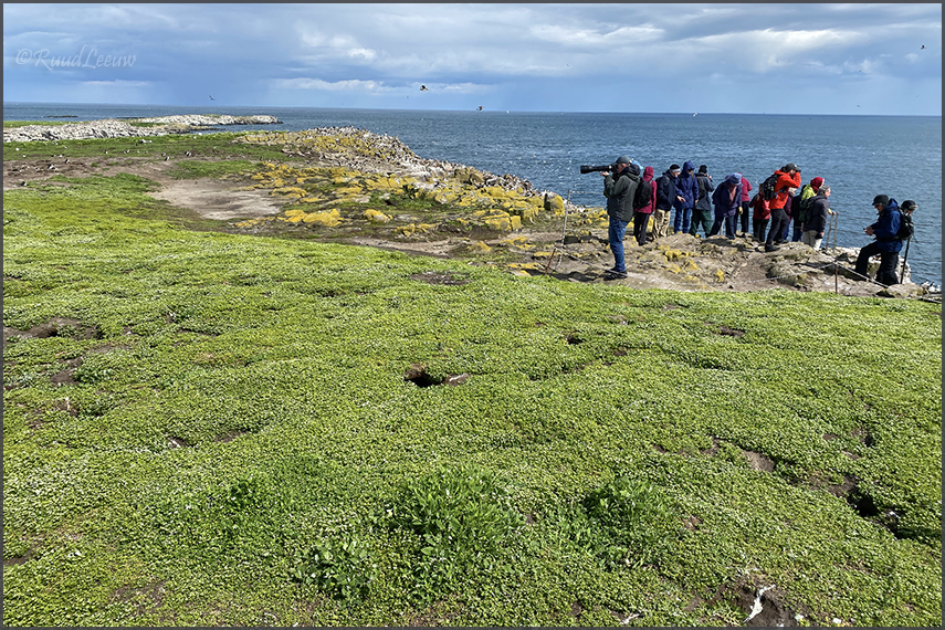 Farne Islands - Phoography by Ruud Leeuw (2024)