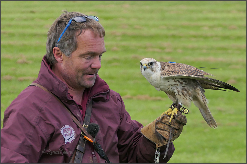 Birds of Prey Centre @Helmsley (Photos by Ruud Leeuw)