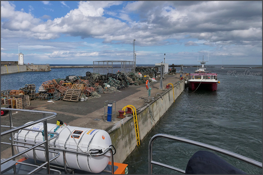 Farne Islands - Phoography by Ruud Leeuw (2024)