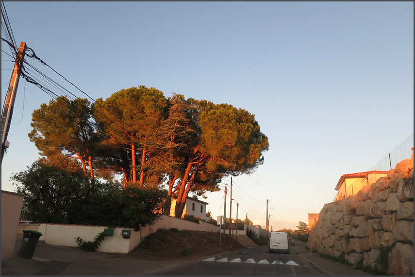 Aigues-Mortes, France 2024
