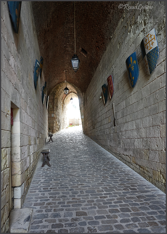 Castles in the river Loire region
