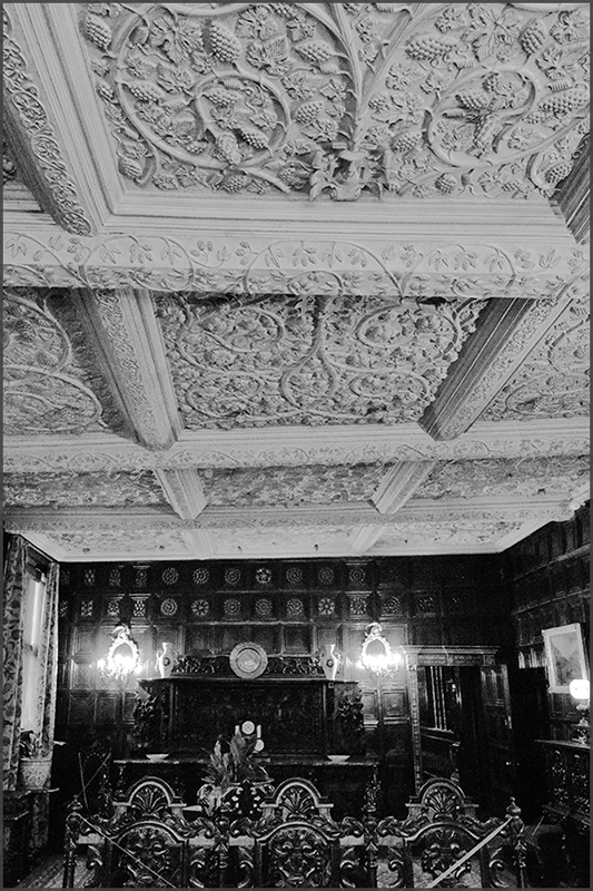 Speke Hall (Liverpool) 7-2025 / (c) Ruud Leeuw