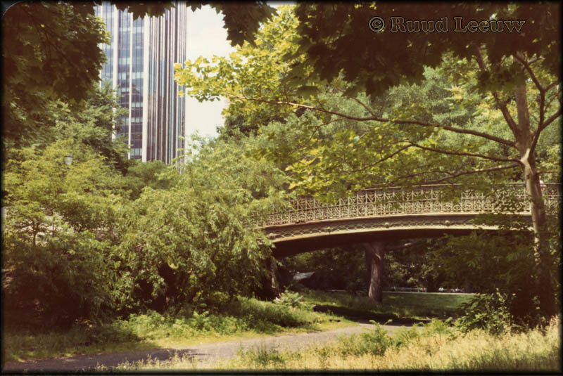 Central Park, N.Y.C.