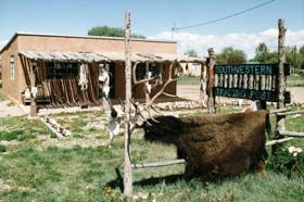 Buffalo skin