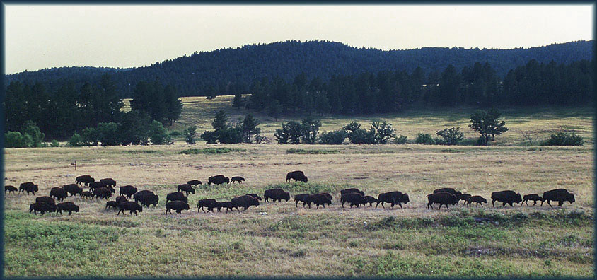 Wyoming 1994