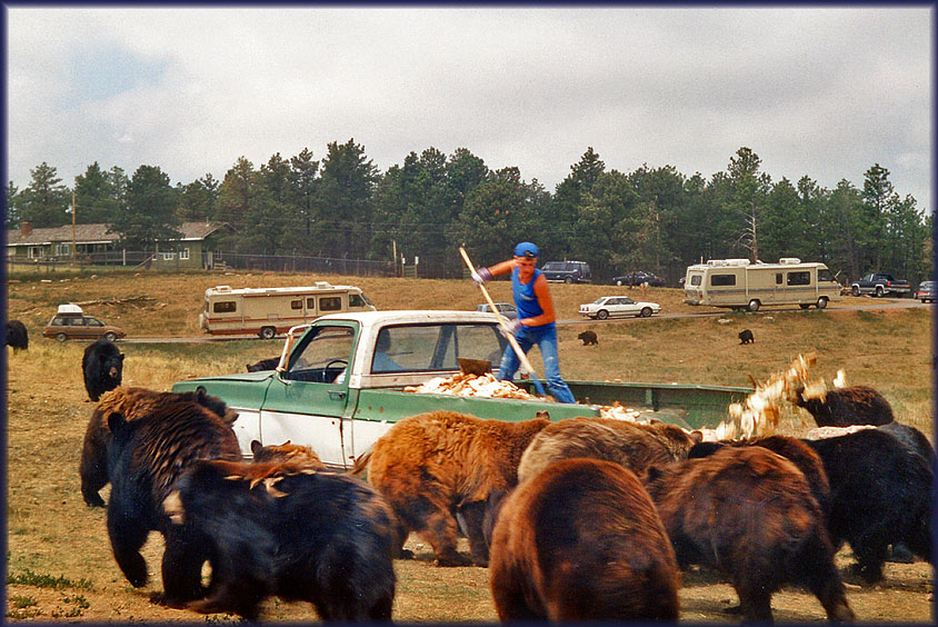 Wyoming 1994