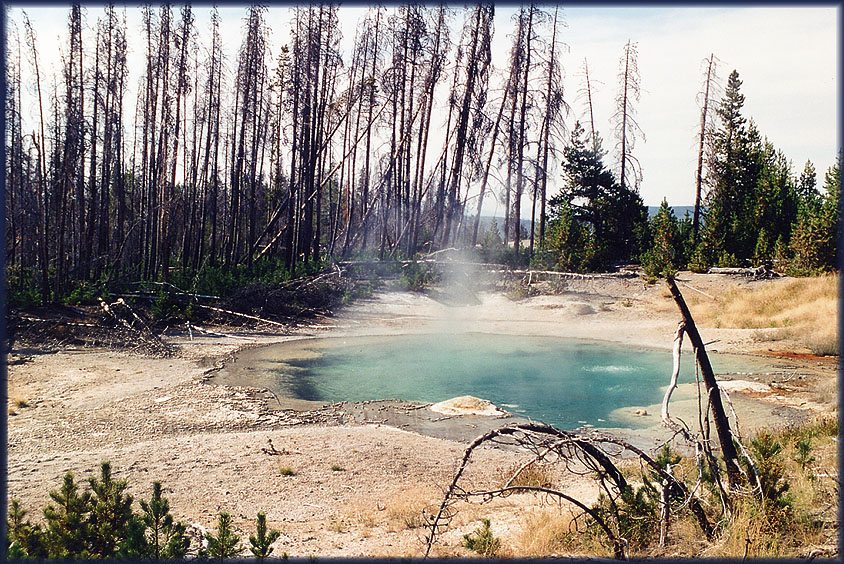 Yellowstone NP