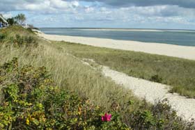 Cape Cod, on the beach